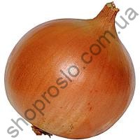 Семена лука репчатого Галант, среднеспелый сорт, 1 кг, "Allium" (Италия), 1 кг