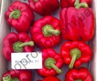 Семена перца Красный Рыцарь F1, ранний гибрид, кубовидный, 500 шт, "Seminis" (Голландия), 500 шт