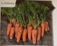 Семена моркови Кесена F1, ранний гибрид, "Bejo" (Голландия), 100 000 шт (1,8-2,0)
