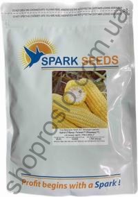 Насіння кукурудзи Форвард 1709 F1, суперсолодка рання,"Spark Seeds" (США), 2 500 шт