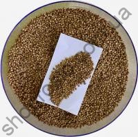 Семена кинзы (кориандр), среднеранний сорт, (Украина) ВЕСОВОЙ, 500 г