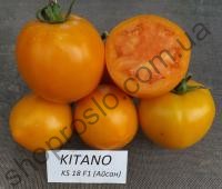 Насіння томату  Айсан F1, помаранчевий детермінантний, середній гібрид,"Kitano Seeds" (Японія), 1 000 шт