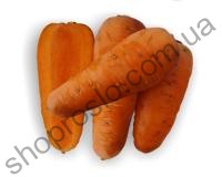 Семена моркови Курода Пауер, среднеспелый сорт,  "Sakata" (Франиця), 500 г