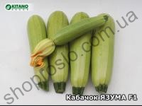 Семена кабачка Язума F1 (KS 3714 F1), ранний гибрид, "Kitano Seeds" (Япония), 250 шт