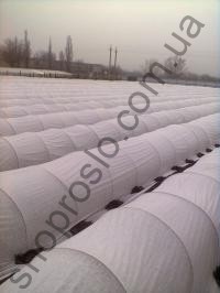 Агроволокно Premium Agro біле, щільність 40 г / м2, ширина 3,2 м, 100 м