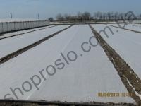 Агроволокно белое, плотность 40 г/м2, ширина 3,2 м "Premium Agro" (Белорусь), 100 м