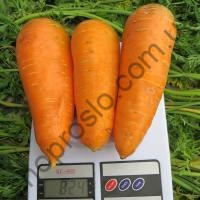 Семена моркови Болтекс, поздний сорт, 500 г, "Clause" (Франция), 500 г