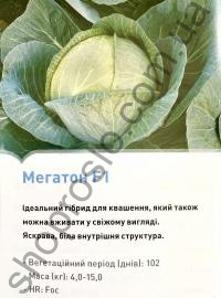 Семена капусты белокочанной Мегатон F1, среднеспелый гибрид,  "Bejo" (Голландия), 2 500 шт