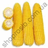 Семена кукурузы Добрыня F1, ранний гибрид, суперсладкая, "Lark Seed" (США), 25 000 шт