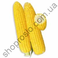 Насіння кукурудзи УОКЕР F1, "Lark Seed" (США), 25 000 шт