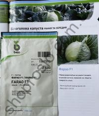 Семена капусты белокочанной Фарао F1, ранний гибрид,    "Bejo" (Голландия), 2 500 шт