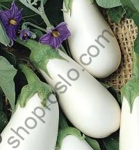 Семена баклажан Каролина F1, среднеспелый гибрид, Semo (Чехия), 100 шт