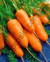 Насіння моркви Болтекс "Clause" (Франція), 500 г