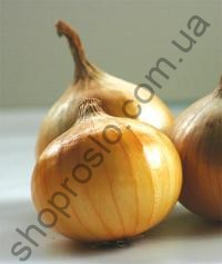 Семена лука репчатого Чемпион , суперраний сорт, 1 кг, "Me-Tan Seed" (Турция), 1 кг