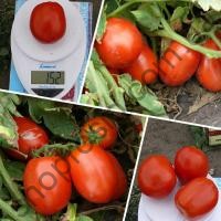 Насіння томату 1510 F1, раннійгібрид, "Lark Seed" (США), 5 000 шт