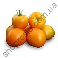 Насіння томату Нуксі (KS 17)F1, детермінантний ранній гібрид, "Kitano Seeds" (Японія), 500 шт