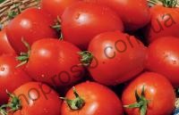 Насіння томату Наміб F1, ранній, кущовий гібрид, "Syngenta" (Швейцарія), 1 000 шт
