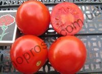 Насіння томату Солероссо F1, "Nunhems Bayer" (Голландія), 25 000 шт (драже)