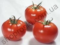 Насіння томату  Раллі F1, індетермінантний, ранній гібрид, "Enza Zaden" (Голландія), 500 шт