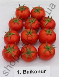 Насіння томату  Байконур F1, індетермінантний, ранній гібрид, "Enza Zaden"  (Голландія), 500 шт
