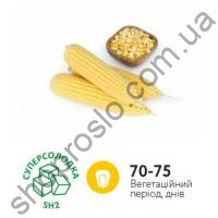Семена кукурузы Вега F1, среднеранний гибрид, суперсладкая, "May Seeds" (Турция), 500 г