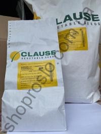 Насіння кукурудзи Ракель F1, "Clause" (Франція), 50 000 шт