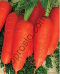 Семена моркови Болтекс,среднеспелый сорт,  "Коуел" (Франция), 10 г