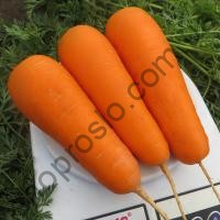 Семена моркови Боливар F1, среднеспелый гибрид,   "Clause" (Франция), 100 000 шт (2,0-2,2)