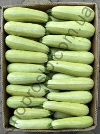 Семена кабачка  Ардендо F1, ранний гибрид, 500 шт, "Enza Zaden" (Голландия), 100 шт (Фас)