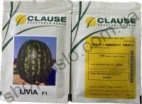 Семена арбуза Ливия F1, ультраранний гибрид, "Clause" (Франция), 1 000 шт