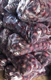 Семена свеклы Пабло F1, среднеспелый гибрид, столовая, "Bejo" (Голландия), 5 000 шт