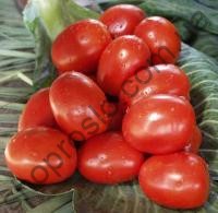 Семена томата Рио Фуего, детерминантный, среднеспелый сорт,  Коуэл (Германия), 10 г