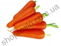 Семена моркови Абако F1, ранний гибрид, "Seminis" (Голландия) ВЕСОВОЙ, 25 000 шт (2,4-2,6)