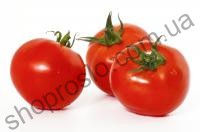 Детермінатні томати