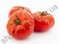 Індетермінантні томати