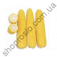 Семена кукурузы Страйк F1 (1525 F1), суперранний гибрид, суперсладкая, "Spark Seeds" (США), 2 500 шт