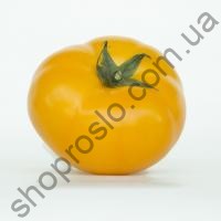 Насіння томату Світ Сан F1, "Spark Seed" (Голландія), 500 шт