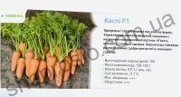 Морковь Каспи F1, ранний гибрид, тип шантанэ, Bejo (Голландия), 100 000 шт (1,8-2,0)