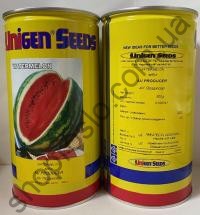 Семена арбуза Ау Продюсер, среднеспелый сорт,  "Unigen Seeds" (США), 500 г