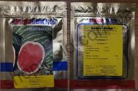 Семена арбуза Топ Мара F1, ультраранний гибрид, United Genetics (США), 1 000 шт