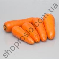 Семена моркови SV 3118 F1, ранний гибрид, 200 000 шт, "Seminis" (Голландия), 1 млн.шт (1,8-2,0)