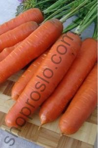 Насіння моркви Анета F1, "Moravoseed" (Чехія), 50 000 шт