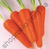 Семена моркови Абако F1, ранний гибрид, "Seminis" (Голландия), 200 000 шт (1,8-2,0)