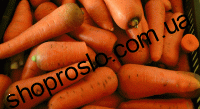 Семена моркови Абако F1, ранний гибрид, "Seminis" (Голландия), 1 млн.шт (1,4-1,8)