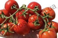 Насіння томату  КС 390  F1/ KS 390  F1,середньоранній гібрид,"Kitano Seeds" (Японія), 500 шт