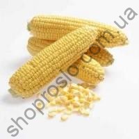 Семена кукурузы Карамелло F1, ранний гибрид, суперсладкая, "May Seeds" (Турция), 10 000 шт