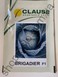 Семена капусты белокочанной Бригадир F1, среднепоздний гибрид, "Clause" (Франция), 2 500 шт