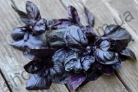 Семена базилика Дарк Перпл фиолетовый, "Semo" (Чехия), 5 г