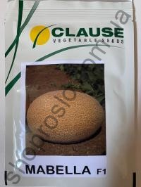 Семена дыни Мабелла F1, ранний гибрид, "Clause" (Франция), 1 000 шт
