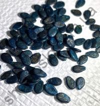 Семена арбуза Ау Продюсер, среднеспелый сорт, "Hollar Seeds" (США), 500 г